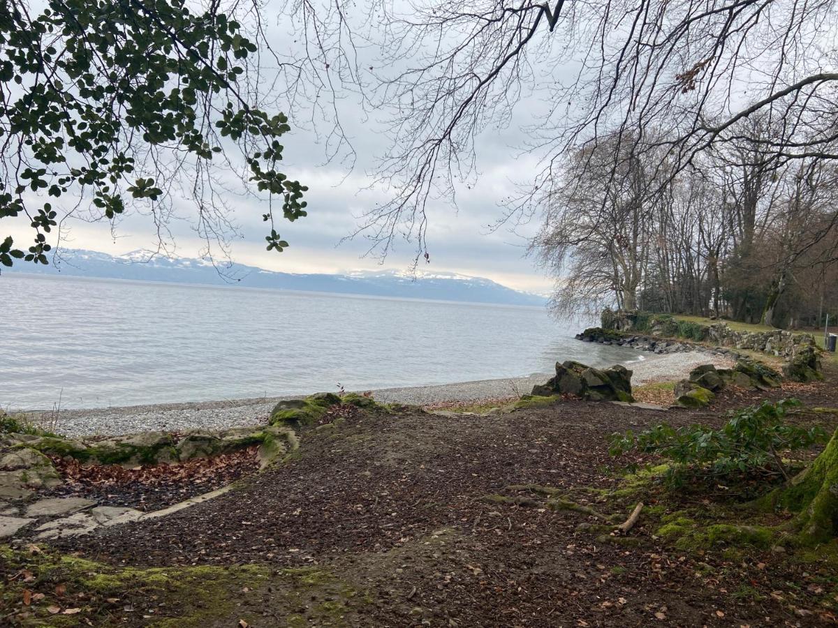 Bord De Lac,2 Chambres Superbe Vue Lac 5Mn Evian Lugrin Buitenkant foto
