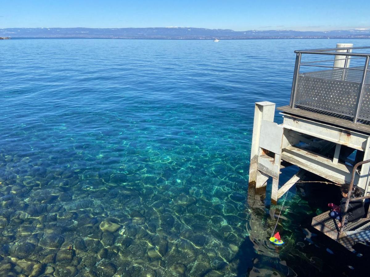 Bord De Lac,2 Chambres Superbe Vue Lac 5Mn Evian Lugrin Buitenkant foto