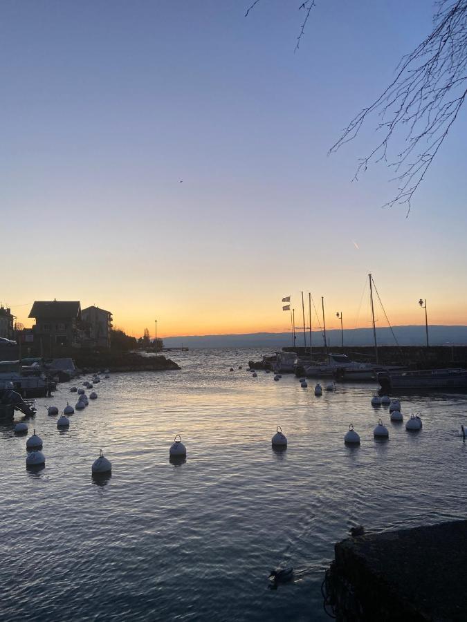 Bord De Lac,2 Chambres Superbe Vue Lac 5Mn Evian Lugrin Buitenkant foto